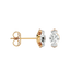 Meteor