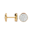 Satellite