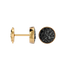 Satellite