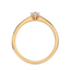 Osmose