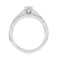 Cygni